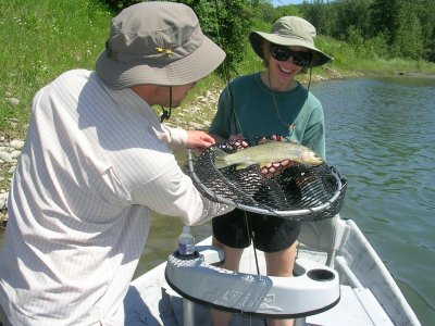 Terry Lands a Cutthroat!